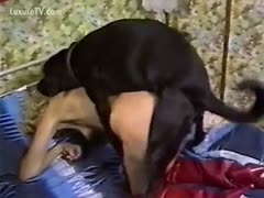 A blond is looked after by a black mutt.